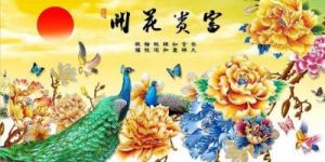 11月运势解析：鼠、龙、蛇、马的双丰收攻略