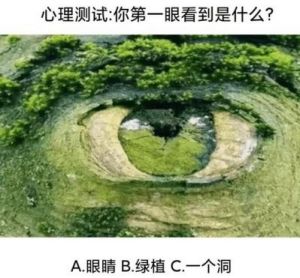 揭示巴纳姆效应：我们如何被模糊的评价所迷惑