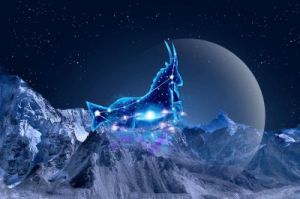 爱情降临：四个星座在即将到来的日子里迎来桃花运