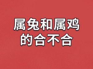  属鸡配属兔的生肖合适吗