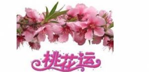 11月桃花盛开：这四个星座将迎爱情运势高峰