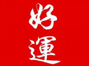 生肖攻略：鼠、龙、猴、猪的爱情与财富秘籍