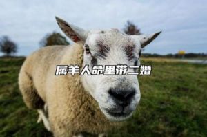  容易二婚的三个生肖女，一个好色，一个花心，一个不负责