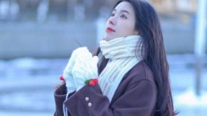 老实人福分：四大生肖迎事业与生活双丰收