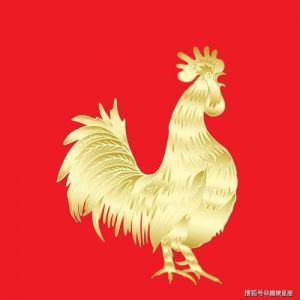 11月18日：生肖龙、狗、鸡迎翻身逆袭良机