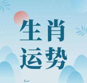 2024年12月生肖牛运势解析：挑战与机遇共存