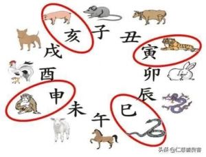 12月生肖运势：属狗、属蛇、属猪迎事业爱情双丰收