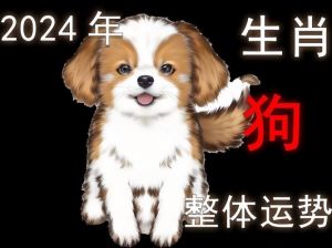  气质高贵，运势超旺，公认万人迷的三大生肖女
