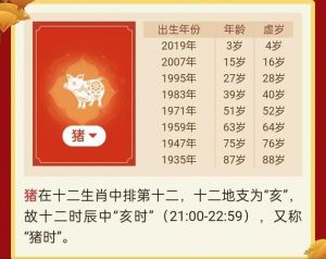 2025年属猪人运势分析：挑战与机遇并存，理性规划前行