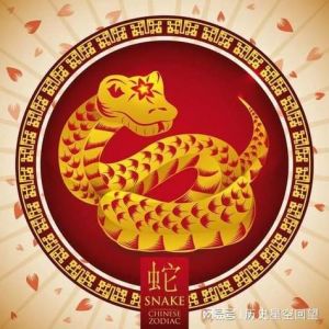 晚年存款最多的三大生肖女，绝对的富婆，一个头脑精明，一个勤俭节约，一个智商很高