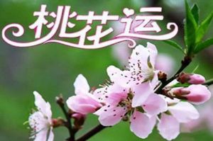 12天好运来袭：属鼠、龙与天蝎、双鱼将迎爱情与财富双丰收