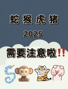 乙巳年戊己土运势分析：升职加薪与感情机遇并存