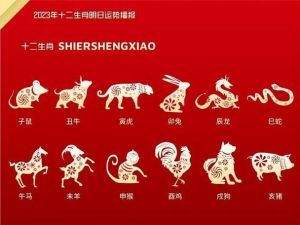 未来三个月：不同生肖迎事业爱情双丰收
