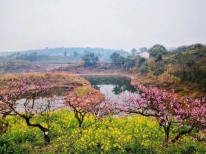 四大生肖男生天生桃花运旺，情场高手吸引异性眼球