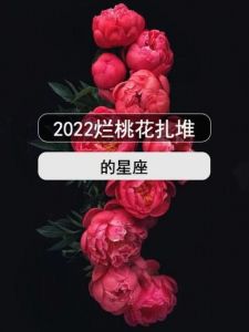 2025年桃花运来袭：四大星座生肖爱情将迎新转机