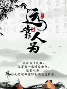 2025年：白羊、龙、兔、猪将迎运势大转机与丰收之年