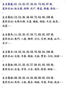 2025年鼠年到来前夕：十二生肖一周运势大揭晓