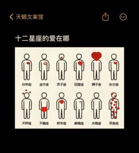 星座运势：周末各生肖的独特体验与情感连结
