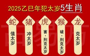2025年四大生肖迎来运势爆发：龙虎兔马运势大好