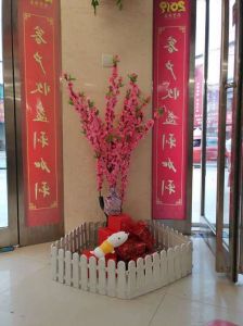2025年生肖财运高峰揭晓，哪个属相将迎来财富机遇？