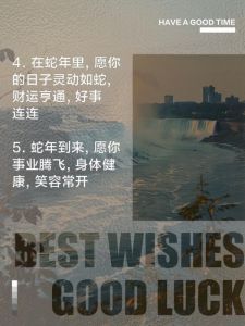 迎接蛇年：愿您万事如意，幸福安康