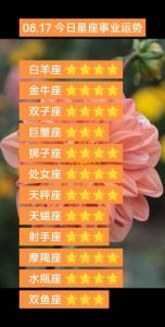 2025年2月星座运势：职场、财务与感情解析