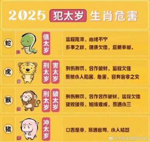 2025年农历上半年属鼠人运势分析：机遇与挑战并存