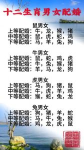生肖鸡最佳婚配解析：龙蛇牛三大绝配