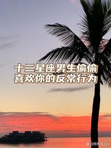 十二星座男的暗恋密码：用心细节揭示深情秘密