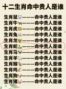 揭秘四大生肖女：天生富贵运势与财富传承の秘密