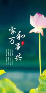 2025年：鼠、龙、天秤与双鱼迎接辉煌新机遇