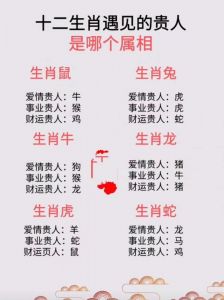  遇见机遇与贵人，性格好相处生肖助你发家