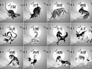 2025年：鼠、蛇、龙与狮子座迎事业新机遇与挑战