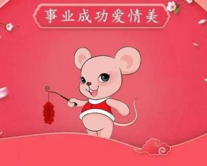 2025年桃花运最旺的四大生肖女揭秘