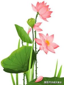 2025年爱情运势：四大生肖桃花盛开，浪漫降临