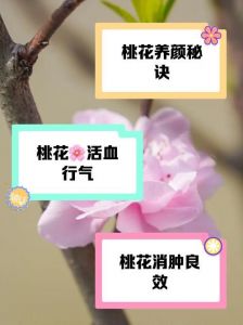  这个春天，这四大生肖要注意分辨桃花质量，避免免烂桃花的干扰哦