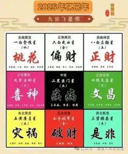  2025年乙巳年九宫飞星与七星连珠能量场，十二生肖的增旺能量场方法