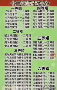 生肖婚配中的冲突：属鼠、属马等组合面临感情挑战