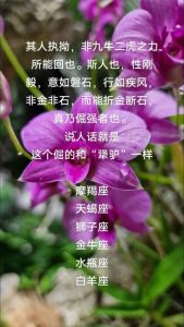 星座配对：情比金坚，风雨无阻的爱情故事