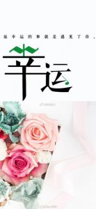 四大星座努力追求财富与爱情，未来充满可能性