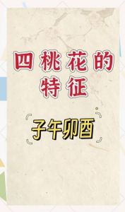 2025年：四大生肖迎来爱情与家庭幸福的丰收年