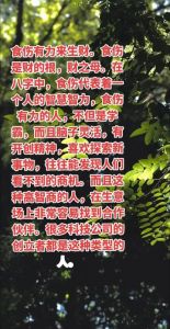  汪缘堂谈食伤生财之人的命理特征